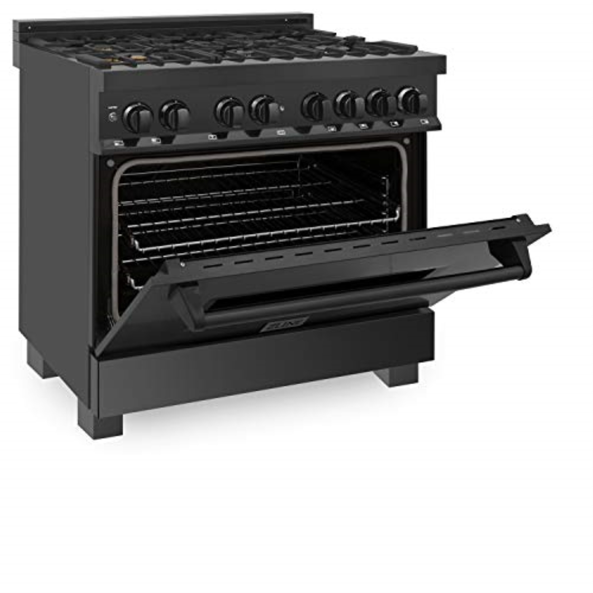 Black Stainless Dual Fuel Range with Brass Burners