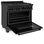 Black Stainless Dual Fuel Range with Brass Burners