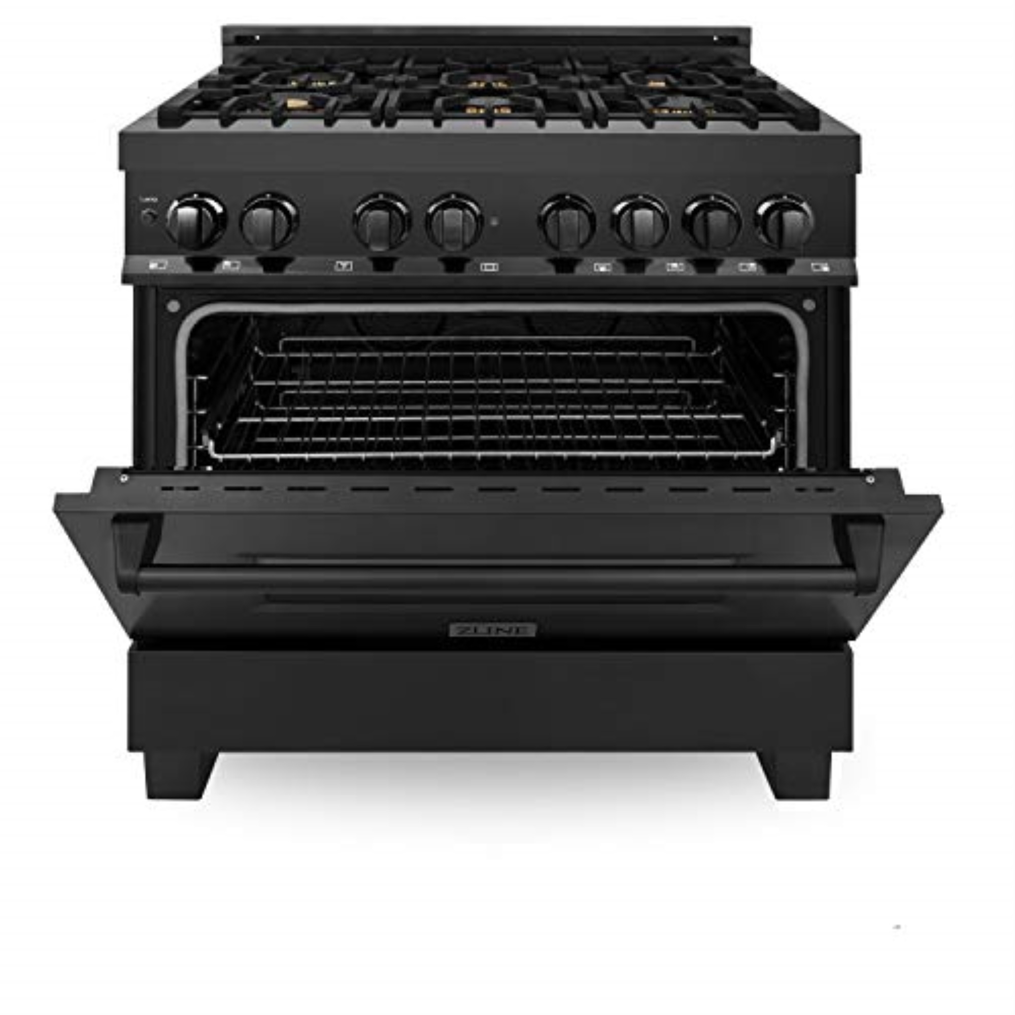 Black Stainless Dual Fuel Range with Brass Burners