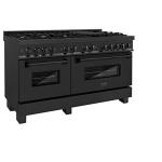 Black Stainless Steel Range with Brass Burners