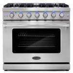36" Stainless Steel Gas Range with 6 Burners