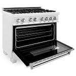 ZLINE 36" Dual-Fuel Range with DuraSnow Finish