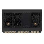 ZLINE 48" Dual Fuel Range - Black/Gold