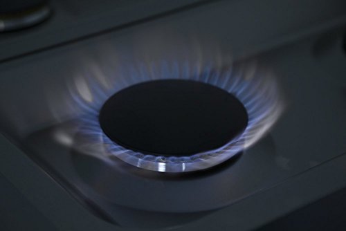 48" Professional Dual Fuel Range - Stainless Steel