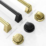 ZLINE 48" Dual Fuel Range - Black/Gold