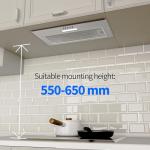 FIREGAS 52cm Integrated Kitchen Extractor Hood