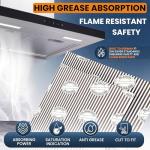 Shoxfords Universal Extractor Hood Filters - 2 Pack