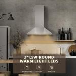 FIREGAS 60 cm Stainless Steel Chimney Hood