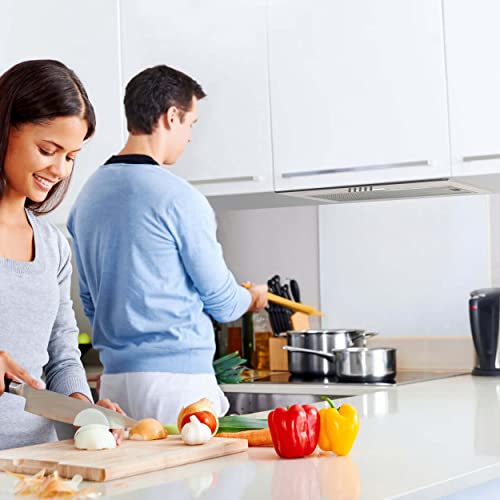 FIREGAS 52cm Integrated Kitchen Extractor Hood