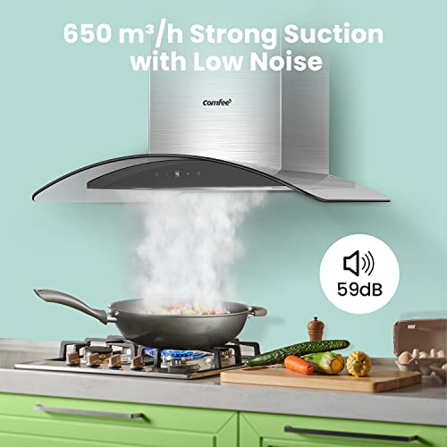 Stainless Steel 60cm Range Hood with LED Light