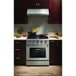Thorkitchen 30" Dual Fuel Range with Convection Fan