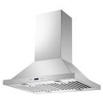 Cavaliere Island Range Hood in Brushed Stainless Steel