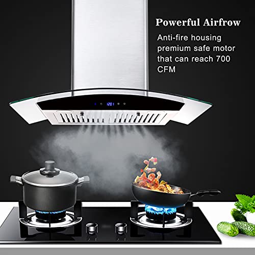 30" Wall Mount Range Hood with LED Lights