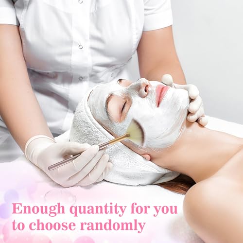 Aster 10-Piece Facial Mask Brush Set
