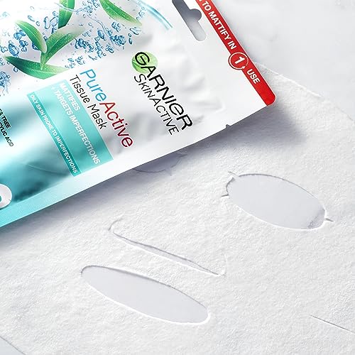 Garnier Tea Tree & Salicylic Acid Mud Mask