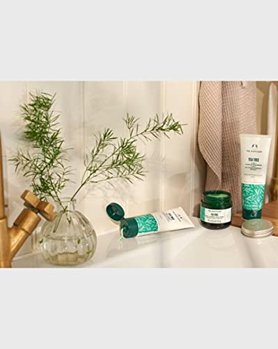 Tea Tree Mud Mask for Blemished Skin 75 ML