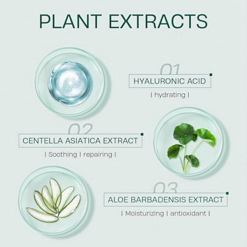 Organic Tea Tree Clay Mud Mask Set - 10 Pack