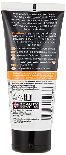 Activated Charcoal Clay Mud Mask - 100ml