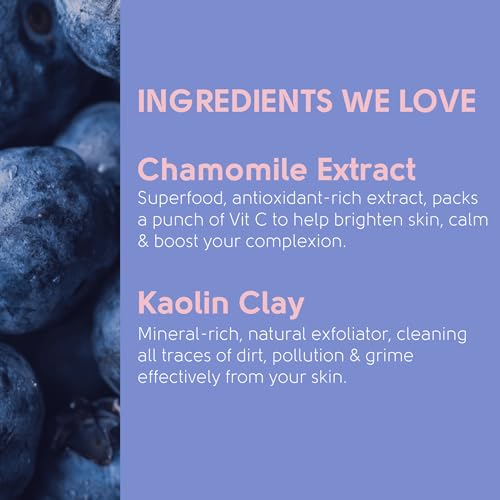 Blueberry Mud Mask | Brightens + Nourishes | Vegan