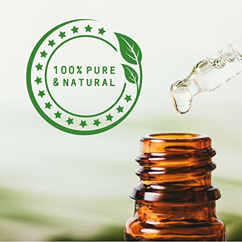 Mystic Moments | Ghassoul Natural Clay 500g - Vegan