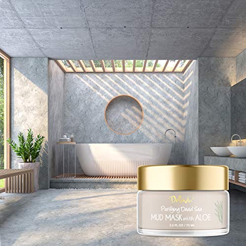 Deluvia Dead Sea Mud Mask with Aloe Vera