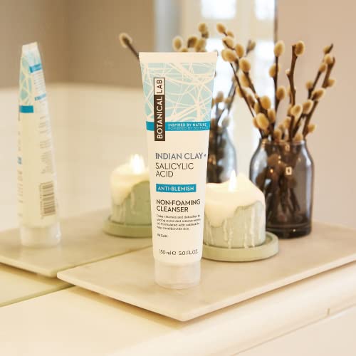 Indian Bentonite Clay Cleanser with Salicylic Acid