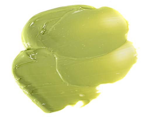 Green Tea Detox Mud Mask with Aloe Vera