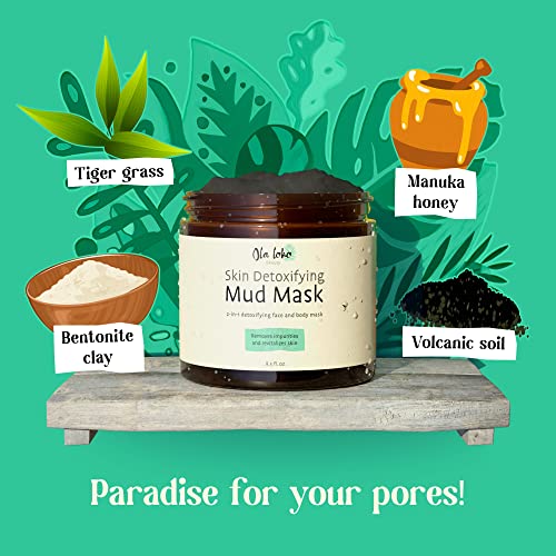 2023 Detox Mud Mask - 8.5oz