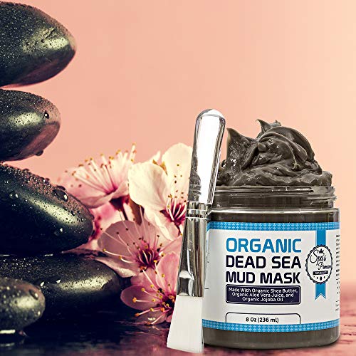Premium Organic Dead Sea Mud Mask with Brush