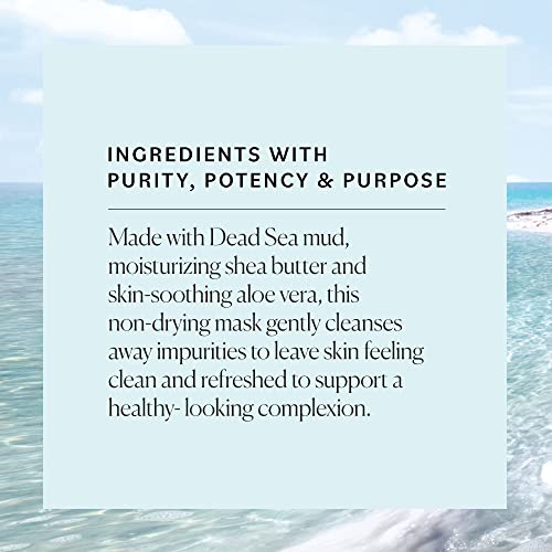 Detoxify & Cleanse with Sky Organics Mud Mask