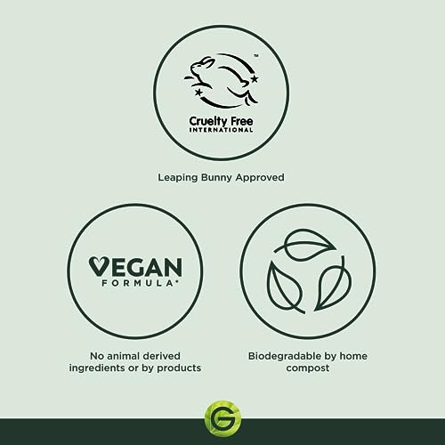 Garnier Pure Charcoal and Algae Sheet Mask