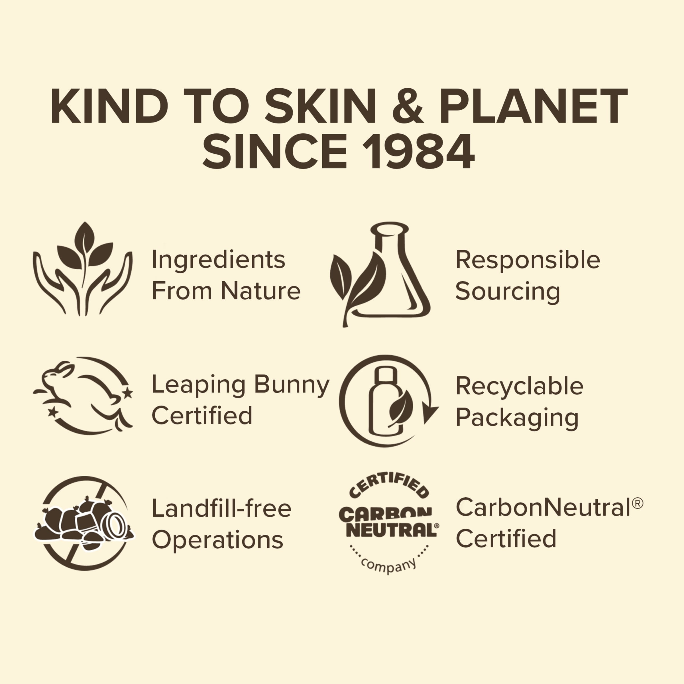 Burt's Bees Charcoal Sheet Mud Mask