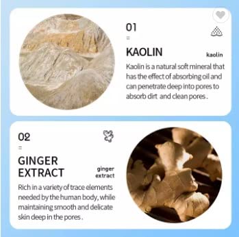 Organic Tumeric Ginger Face Clay Mud Mask