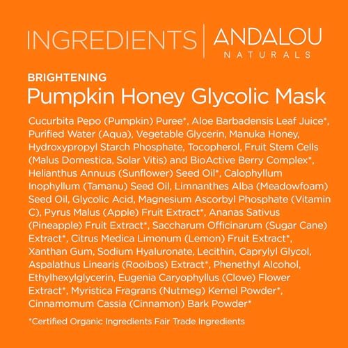 Pumpkin Honey Brightening Exfoliating Mud Mask