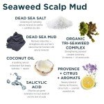 Sea Magik Salicylic Scalp Mask and Shampoo Set