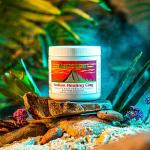 Aztec Secret Healing Clay Mask for Clear Skin