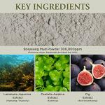 Boryeong Mud Clay Face Mask for Oily Skin