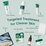 LAIKOU Tea Tree Anti-Acne Mud Mask Set