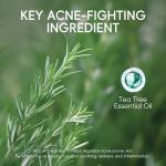 LAIKOU Tea Tree Anti-Acne Mud Mask Set