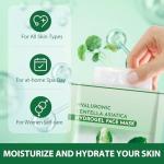 10-Pack Centella Asiatica Hydrating Face Masks