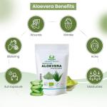 Organic Aloe Vera Powder Mud Mask for Skin