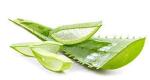 Organic Aloe Vera Powder Mud Mask for Skin