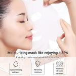 Aloe Vera Hydrating Face Mask Pack (10 pcs)