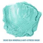 Freeman Anti-Stress Dead Sea Mud Mask Duo