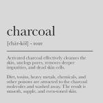 Mud Mask - Charcoal Bubble Sheet Pack