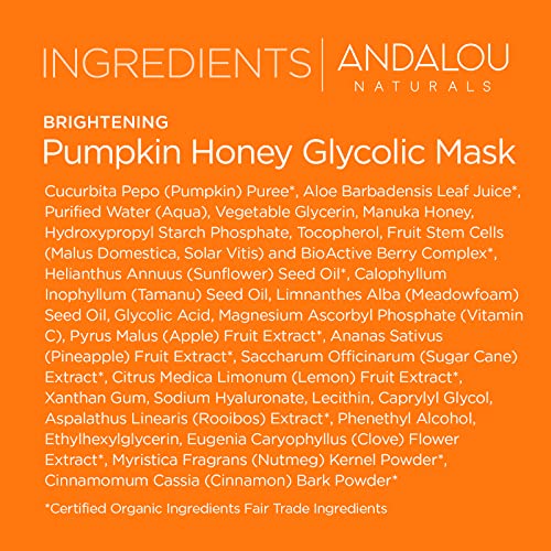 Pumpkin Honey Brightening Exfoliating Mud Mask