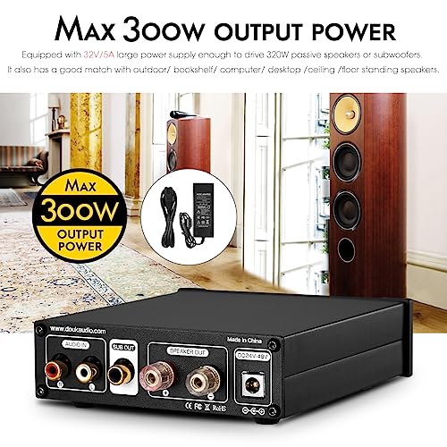 300W Mini Mono Subwoofer Amplifier for Home Speakers