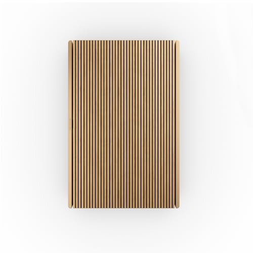 Bang & Olufsen Beosound Level - Portable WiFi Speaker