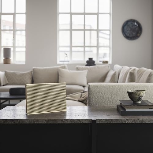 Bang & Olufsen Beosound Level - Portable WiFi Speaker