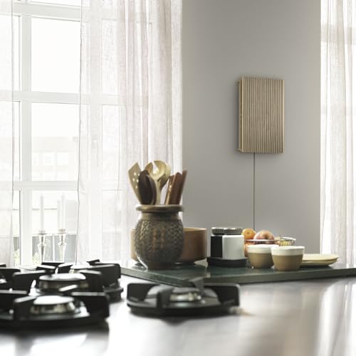 Bang & Olufsen Beosound Level - Portable WiFi Speaker